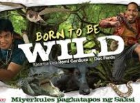 Born To Be Wild August 18 2024